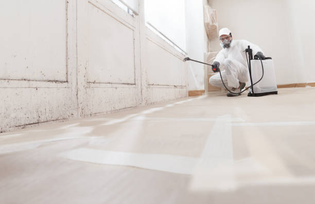 24/7 Emergency Mold Removal experts in West Chicago, IL