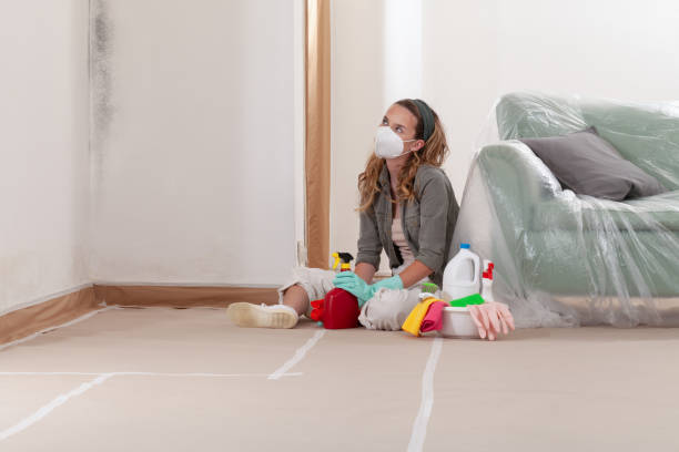 Reliable Mold Removal contractor in West Chicago, IL by WQB Mold Removal